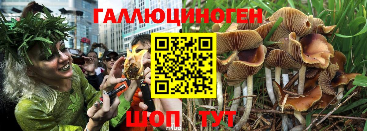 Псилоцибиновые грибы мухоморы Кондопога
